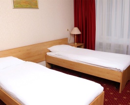 Эконом двухместный (две односпальные кровати) в АМАКС