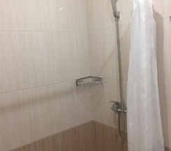 1-местный эконом в Амира-парк