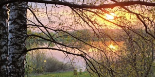 Шатрище: Коттедж LesDankin