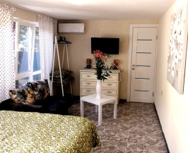 Стандартный четырехместный номер в Елизавета