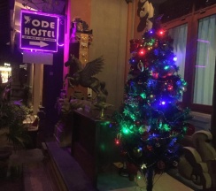 Кровать в общем номере в Ode Hostel