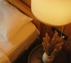 STANDARD+ ROOM в Skazka Lodge