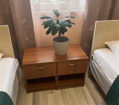 Standart Twin в Чешский Дом