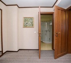 Двухместный полулюкс двуспальная кровать в Губернский