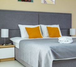 Studio Suite в Next