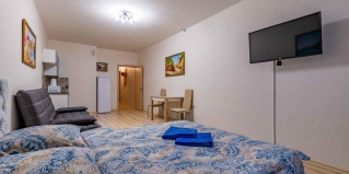 Екатеринбург: Апартаменты DreamHouse