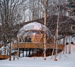 Глэмп №1 с видом на деревья и залив в Vyborg Bay