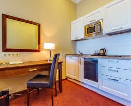 Стандарт с кухней (1 кровать) в Райкин Plaza Hotel