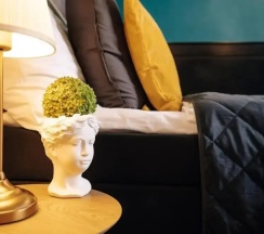 Двухместный номер Classic в Hotel Praga 1885