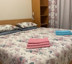 Комната с 1 двуспальной кроватью в Чижик-Пыжик