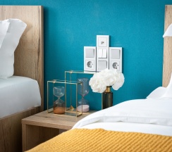   номер STANDART с 2 отдельными кроватями(TWIN) в Breezko hotel