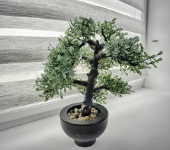 Апартаменты 11 в Exclusive Hotel&Apartments