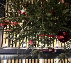 Дом у яблони с горячей джакузи в А-Шалаш