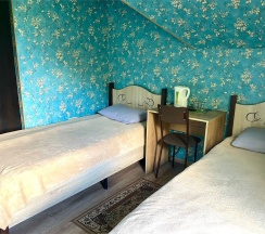 Двухместный номер с 2 отдельными кроватями в Sheremet