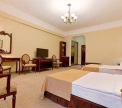 Джуниор Сьют с двумя кроватями в Green house detox&SPA