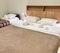 Трехместный номер в Невский