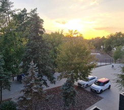 1-комнатные апартаменты студия №14 в Olive Apart