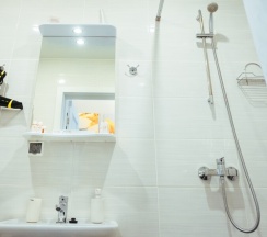 Номер «Комфорт» с 1 кроватью или 2 отдельными кроватями (Вид на Литейный проспект) в Geleon