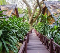 Двухместный номер Standard (двуспальная кровать) в Coral Island Resort