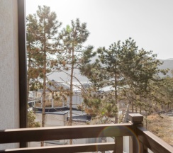 Полулюкс "Эстет" 2-х комнатный с балконом, вид на озеро и лес (2-3 этаж), до 4-х гостей в Винтаж