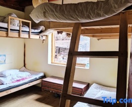 Четырёхместный номер Standard в Up In The Air Youth Hostel