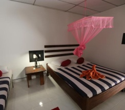 Двухместный номер Standard двуспальная кровать в Eco Hotel Black & White - Anuradhapura