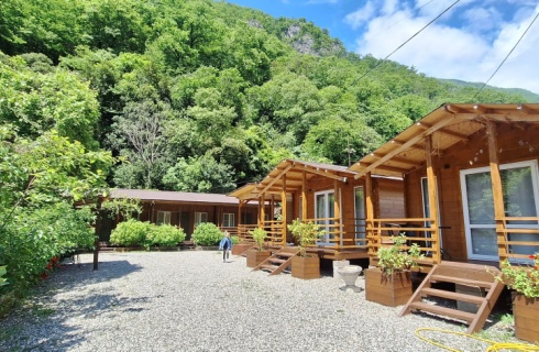 Гагра: Гостевой дом Quest hause Ahan
