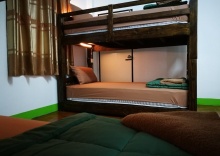 Кровать в общем номере в Stay With Jame Hostel