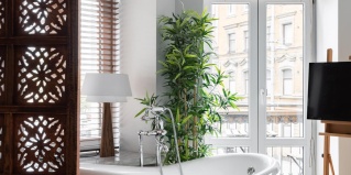 Санкт-Петербург: Гостевой дом Dostoevsky Apartments (Апартаменты Достоевского)