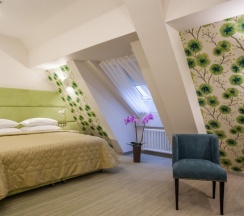 Двухместный люкс двуспальная кровать в Горка