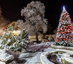 Provence полулюкс в Лель