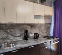 1-комнатные апартаменты улучшенные в Quiet Hause (Квайт Хаус) на шоссе Пушкинское