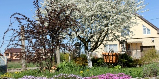 Гвардейск: Апартаменты Апартаменты Homestay Vera