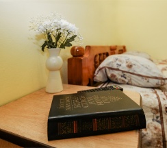 Стандартный 3х местный номер 1 этаж в Green oasis Vavilon