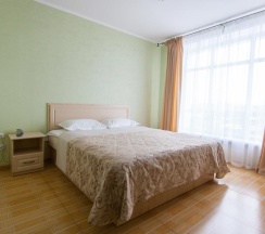 Номер полулюкс с 1 двуспальной кроватью в Звездная