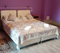 2-местный номер стандарт в Микли-Ольгино