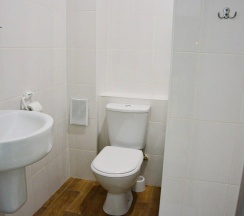 3-местный номер стандарт в Green park