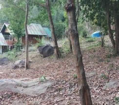 Номер Standard с балконом в Phi Phi Jungle Hill Bungalow