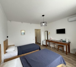 Номер стандарт с 2 односпальными кроватями в Домино