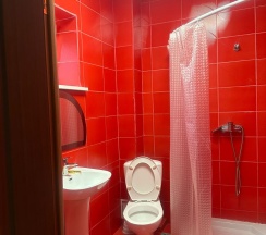 Стандартный двухместный номер в Elena