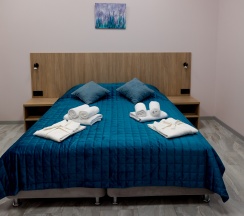 Двухместный стандарт + в Дубос