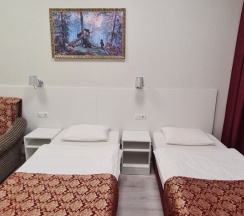 Стандартный номер с 2 односпальными кроватями в Репин