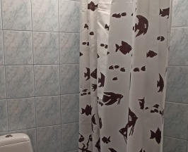 Стандартный номер в Летучая мышь