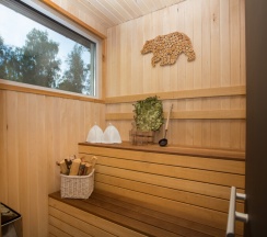 Коттедж "Брюгге" с сауной и купелью "Фурако" (расположен в Логиново) в Сканди хаус