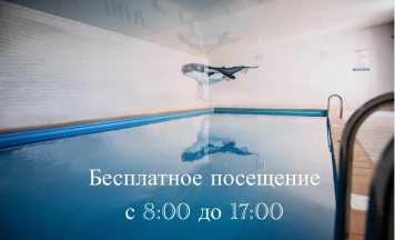 1-комнатный номер студия с 1 двуспальной кроватью в Крыжовник