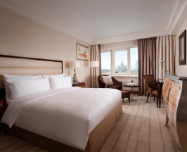 Делюкс с одной большой кроватью в Hotel Continental