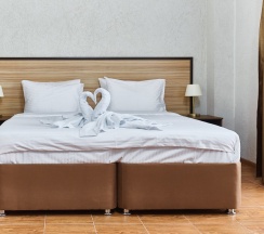 Трёхместный номер Эконом в Романовский