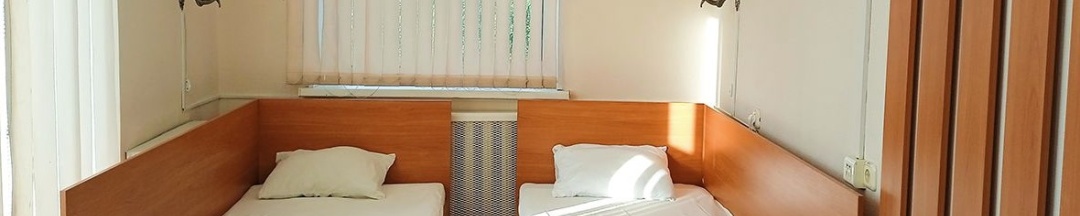 Двухместный номер Эконом в Smart Hotel KDO Курган