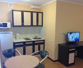 Двухместный номер Standard в Энергетик