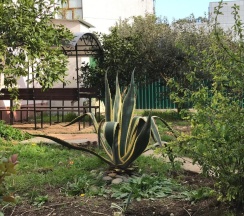 Номер Standard в Демерджип
